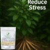 Ashwagandha Root Powder-Natural Hill Organic
