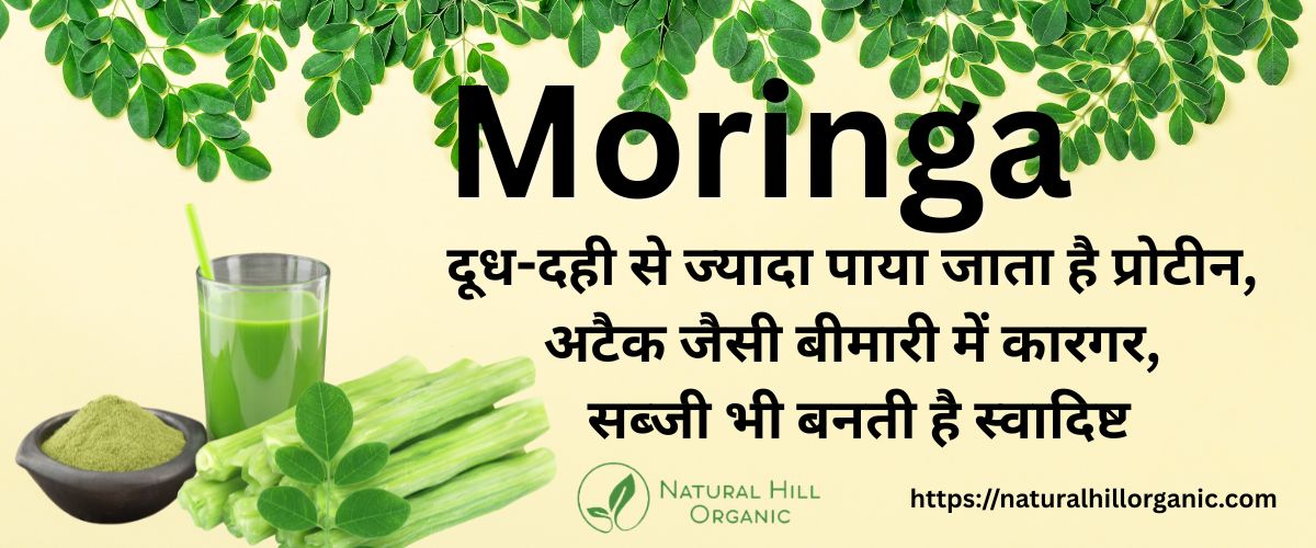 इसमें दूध-दही से ज्यादा पाया जाता है प्रोटीन, अटैक जैसी बीमारी में कारगर, सब्जी भी बनती है स्वादिष्ट