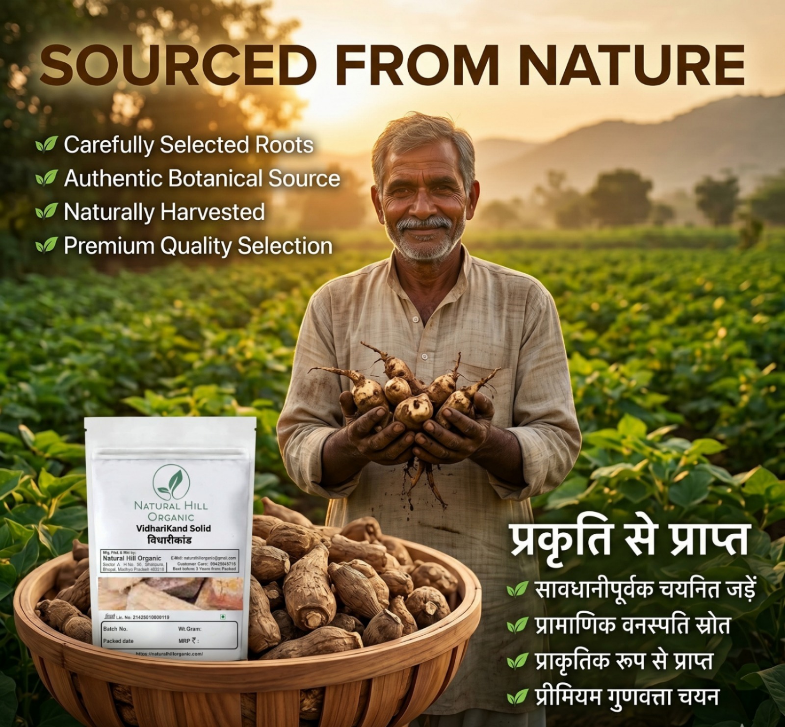 Natural Hill Organic Vidharikand Solid - Supports Digestive - Image 6