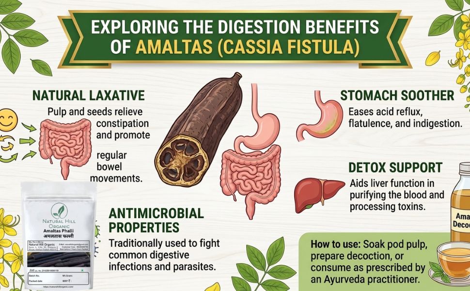 Natural Hill Organic Amaltas Phalli - Digestive Wellness - Image 2