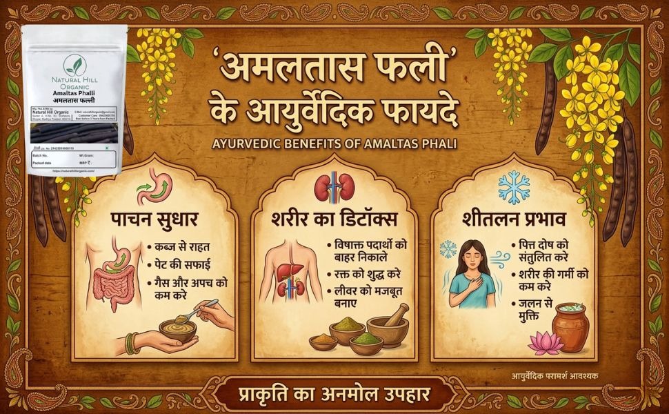 Natural Hill Organic Amaltas Phalli - Digestive Wellness - Image 7