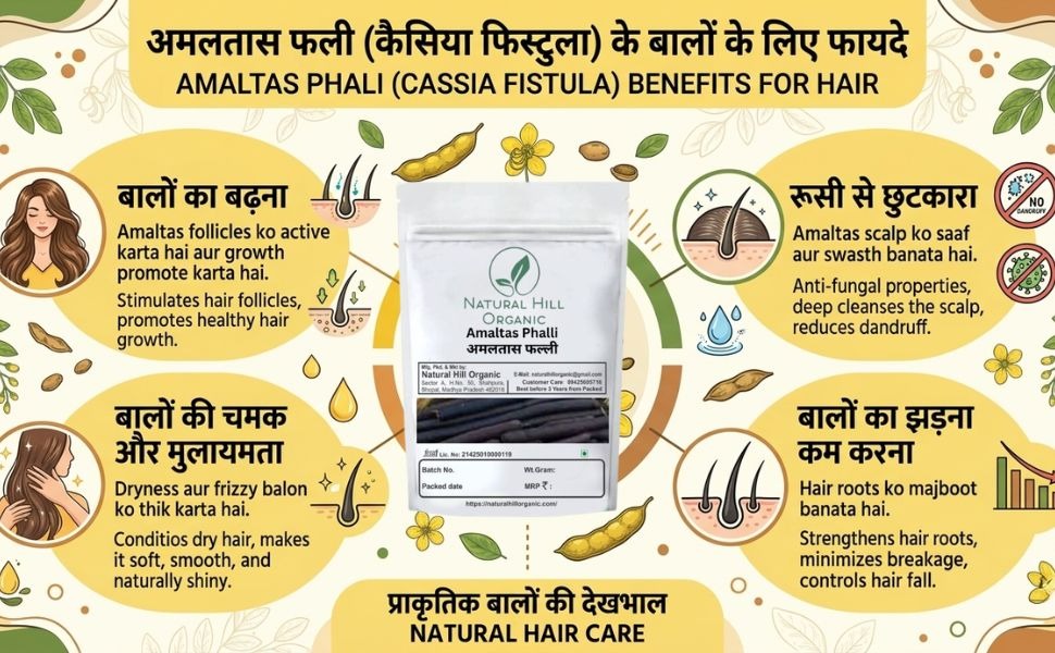 Natural Hill Organic Amaltas Phalli - Digestive Wellness - Image 8